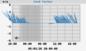 Wind Vector